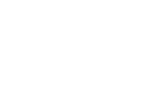 Cirque Anouchka Bouglione